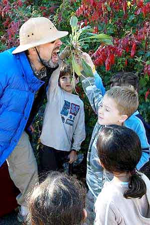 Harrison Ave. Elementary School Students Offer "Wildman" Common Evening Primrose